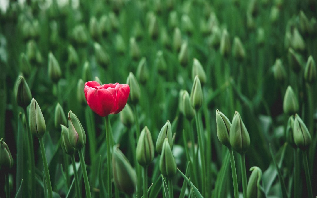 Standing Out In An Oversaturated Marketplace